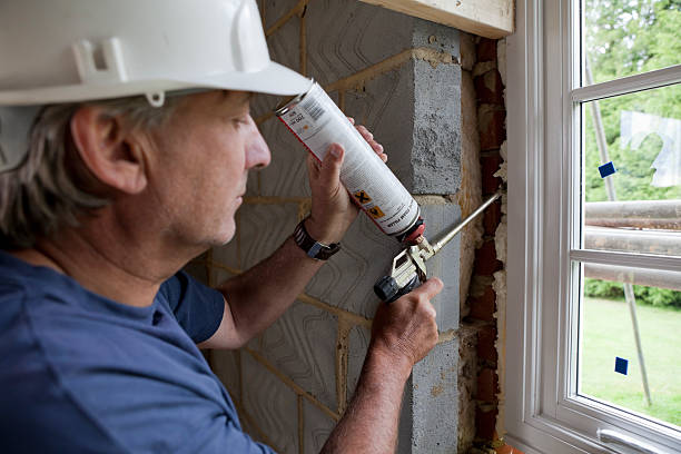 Best Insulation Installation Services in Odem, TX