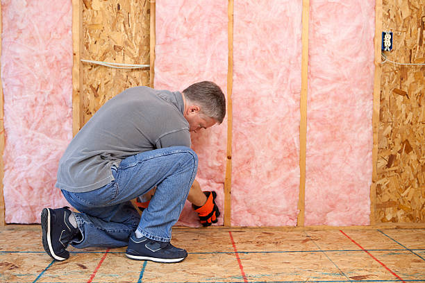 Best Commercial Insulation in Odem, TX