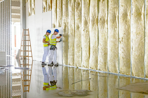 Best Insulation for Specific Applications in Odem, TX